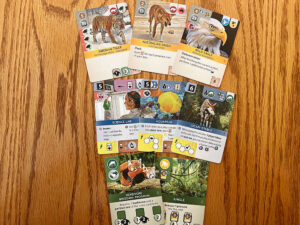 Ark Nova Cards